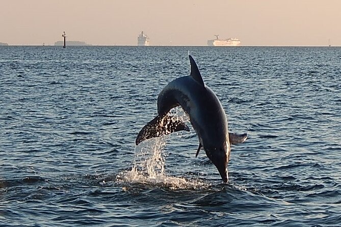 Private Charter - Experience Highlights