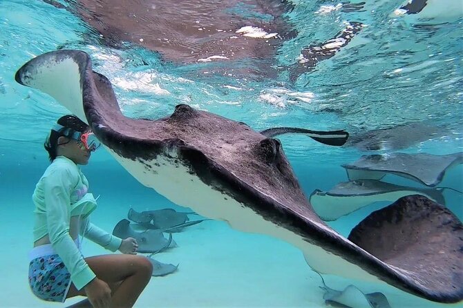 Private Charter 28ft Grady White. Stingrays, Snorkeling, Starfish - Cancellation Policy and Booking Details