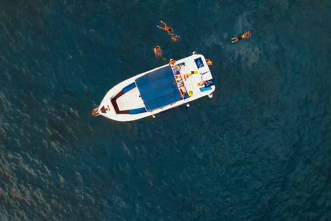 Private Charter 3 Hours Whale Encounter Puerto Colon Adeje - Booking Information