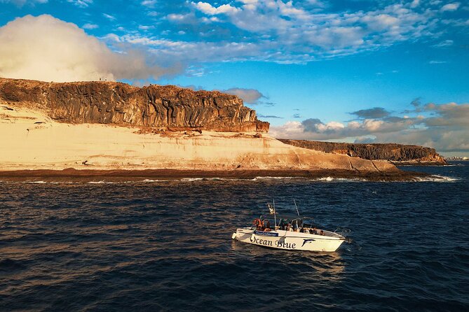 Private Charter 3 Hours Whale Encounter Puerto Colon Adeje - About the Operator