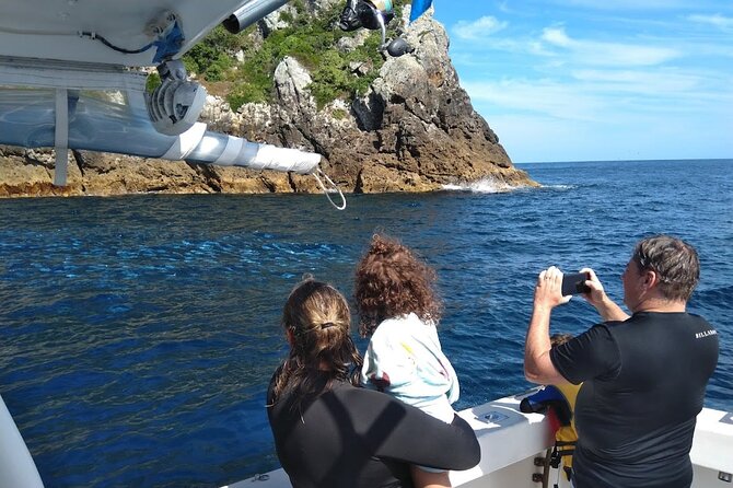 Private Charter 5 Hour Snorkel and Paddleboard the Poor Knights - 1 to 12 People - Accessibility