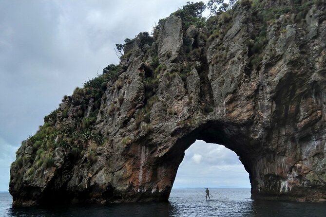 Private Charter 8 Hour Combo: Poor Knights Snorkel and Paddleboard With Fishing - Booking Information