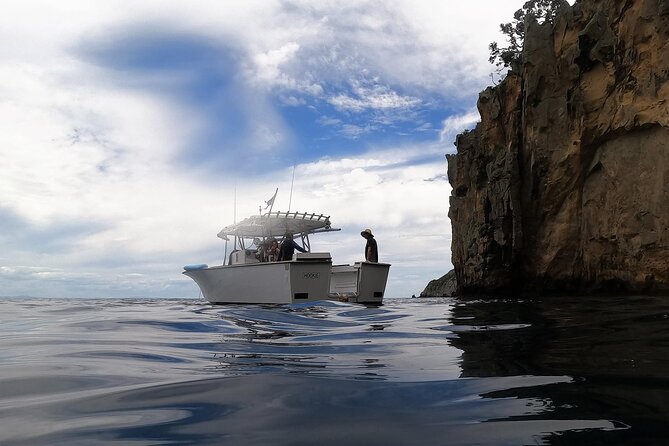 Private Charter 8 Hour Snorkel and Paddleboard the Poor Knights - 1 to 12 People - Meeting and Pickup
