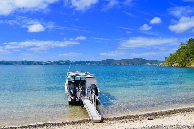 Private Charter - Bay of Islands Cruise & Island Tour - Key Points