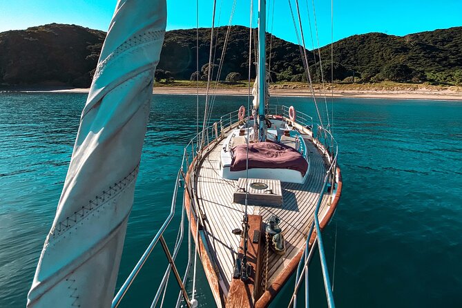 Private Charter Bay of Islands - Duration of Experience