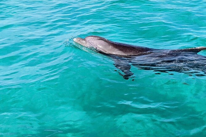 Private Charter Boat With Slide From Panama City - Meeting and Pickup Details