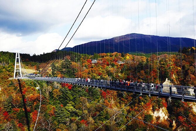 Private Charter Bus 8 Days Tour From Kyushu to Kobe via Shikoku - Additional Information