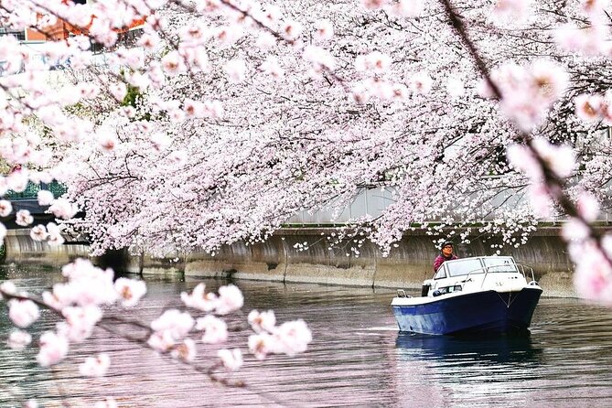 Private Charter Cruise Adventure in Tokyo Bay - Group Size and Participation
