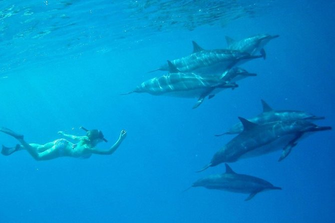 Private Charter: Customizable Big Island Boat Adventure - Exploring the Volcanic Shoreline