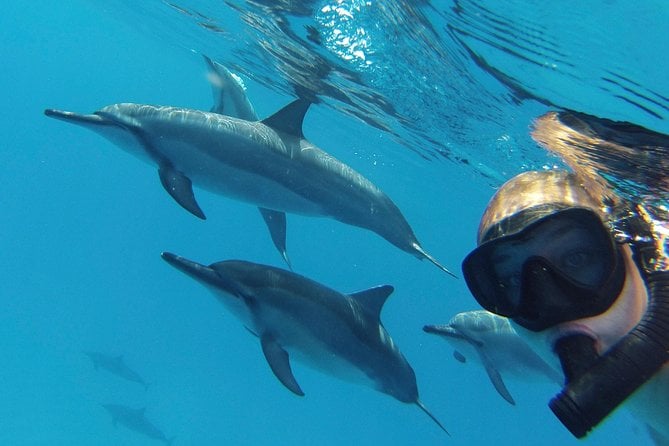 Private Charter: Customizable Big Island Boat Adventure - Highly Rated Customer Reviews