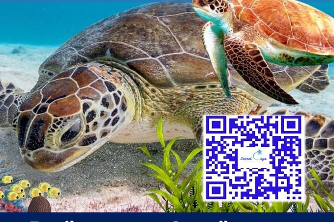 Private Charter for Snorkeling, Swimming Pigs, Turtles & Fishing.... - Meeting and End Points