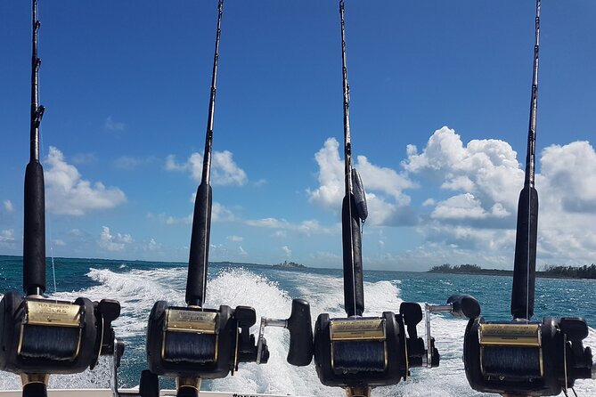 Private Charter for Snorkeling, Swimming Pigs, Turtles & Fishing.... - Encounter With the Swimming Pigs
