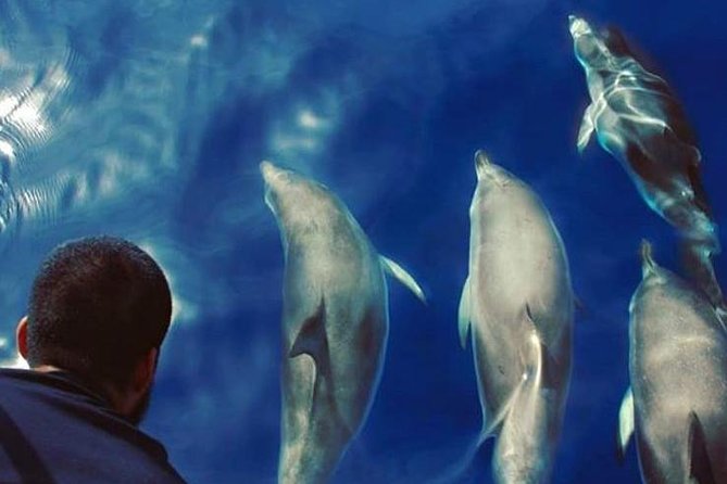 Private Charter in Tenerife South Max 7 People - Amenities