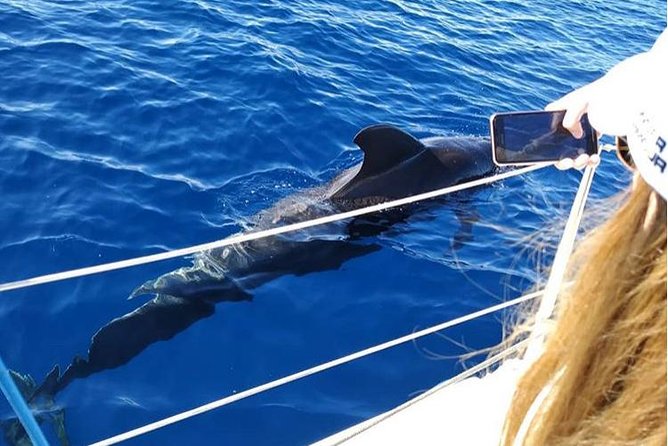 Private Charter in Tenerife South Max 7 People - Frequently Asked Questions