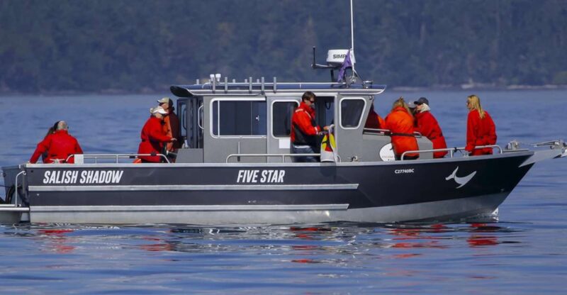 Private Charter - Marine Life and Whale-Watching Boat Tour - Key Points