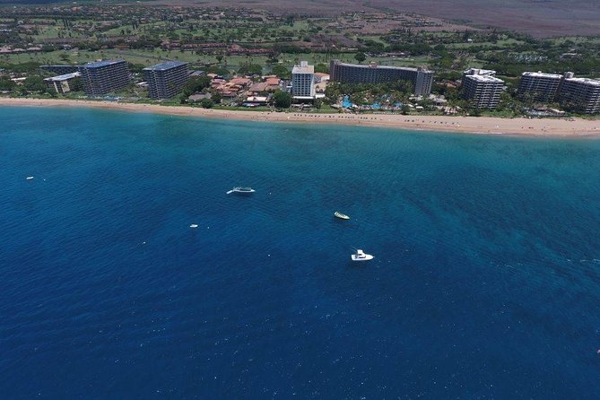 Private Charter Maui ECO Snorkel Tour With Sea Scooters - Health and Safety Requirements