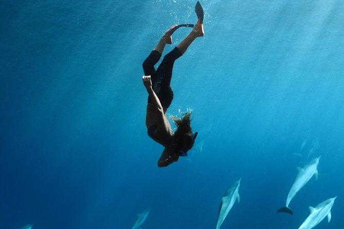 Private Charter Maui ECO Snorkel Tour With Sea Scooters - What to Bring