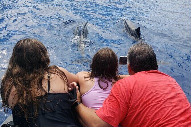 Private Charter Morning Snorkel and Wildlife Watch. Up to 18 Pax - Key Points