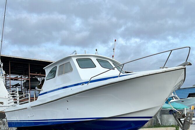 Private Charter Morning Snorkel and Wildlife Watch. Up to 18 Pax - The Itinerary and What to Expect