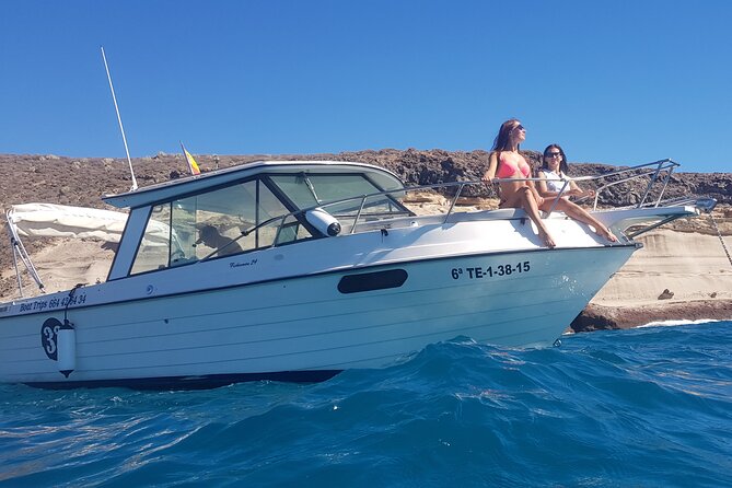 Private Charter Ocean Safari - Accessibility and Participation