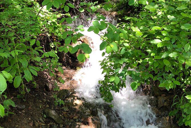 Private Charter on Holland Lake With Hike to a Pristine Waterfall - Meeting Point and Pickup Details