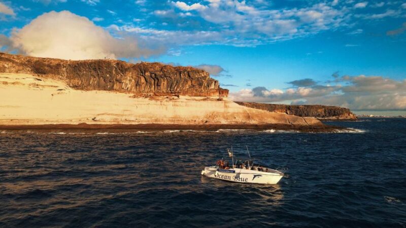 Private Charter Private Charter to See the Whales - 2 Hours - Pricing and Booking Options
