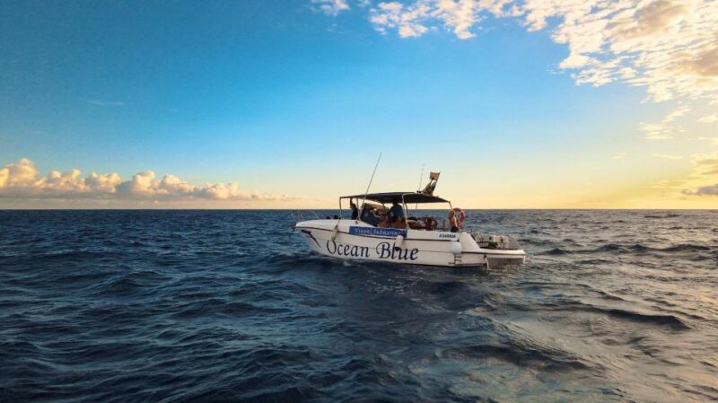 Private Charter Private Charter to See the Whales - 2 Hours - Spectacular Views and Refreshments