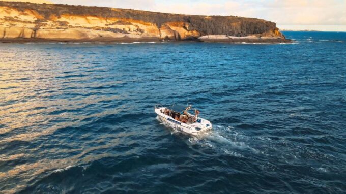 Private Charter Private Charter to See the Whales - 2 Hours - Additional Information