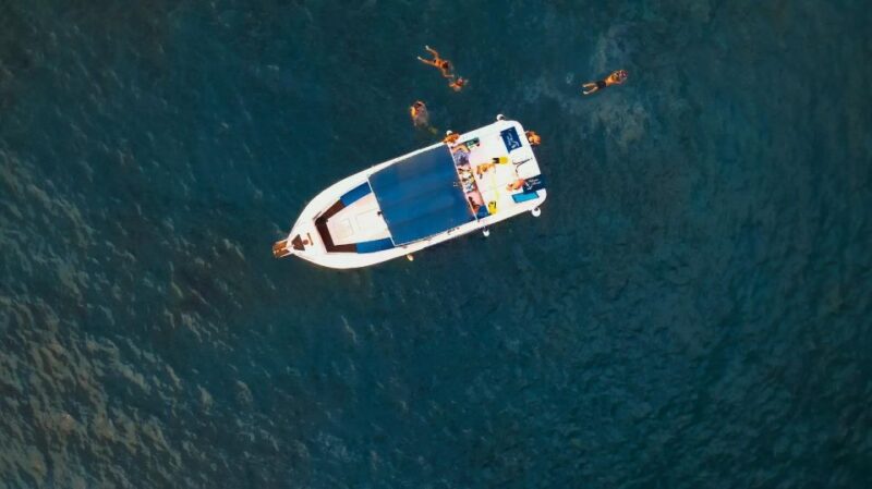 Private Charter Private Charter to See the Whales - 3 Hours - Frequently Asked Questions