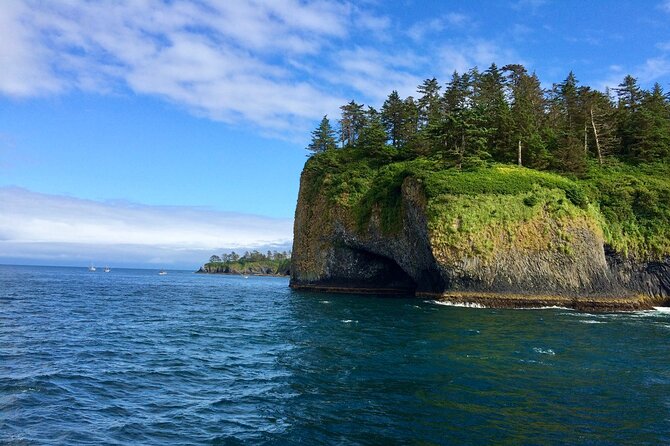 Private Charter Scenic Sea Bird Excursion for Cruise Passengers - Key Points