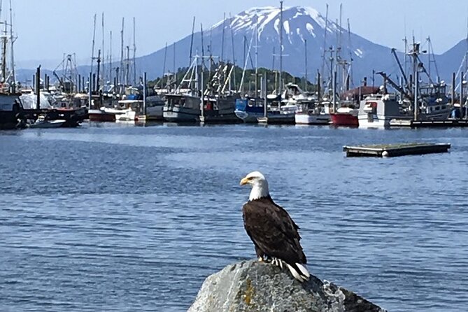 Private Charter Scenic Sea Bird Excursion for Cruise Passengers - What to Expect on Your Excursion