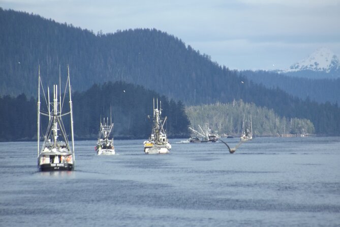 Private Charter Scenic Wildlife Excursion for Cruise Passengers - Boat and Captain