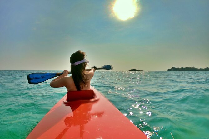 [Private Charter] SEA-KAYAKING Along HALF-MOON BAY & SUNSET DRIFTING & DINNER - Good To Know