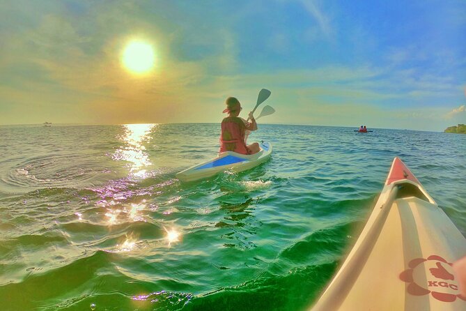 [Private Charter] SEA-KAYAKING Along HALF-MOON BAY & SUNSET DRIFTING & DINNER - Additional Information and Recommendations