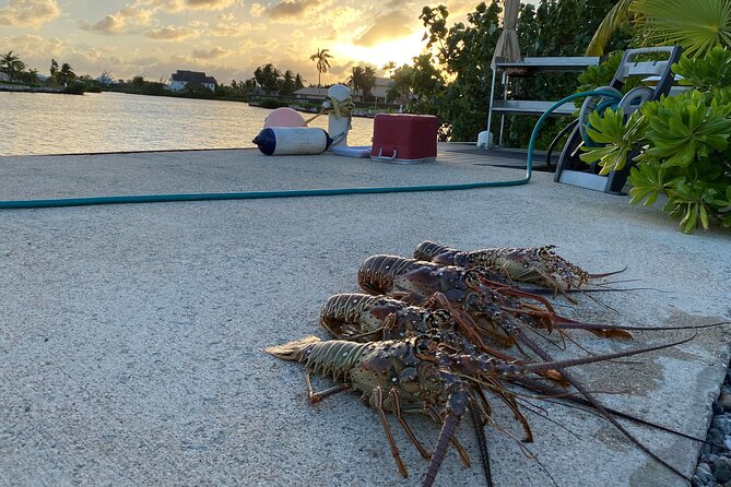 Private Charter - Stingray City, Starfish Point & Snorkeling - Tour Overview