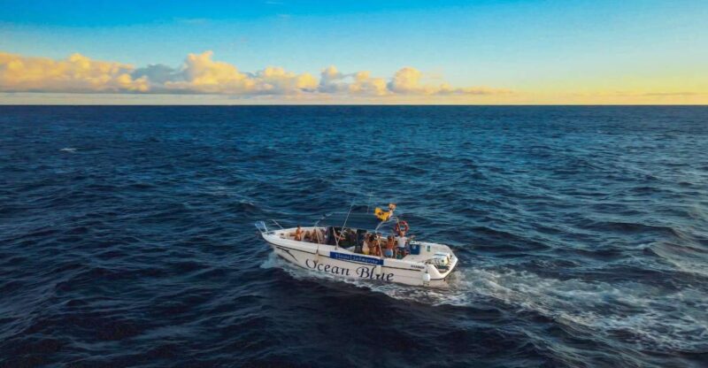 Private Charter to See the Whales - 5 Hours - Pricing and Booking Details