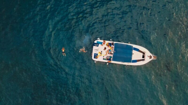 Private Charter to See the Whales - 5 Hours - Sunset Option