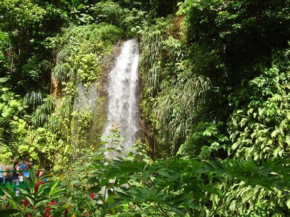 Private Charter Tour in St Lucia - Tour Duration and Availability