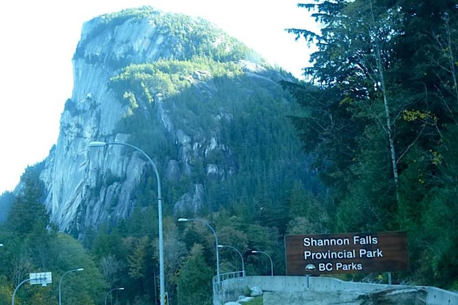 Private Charter Tour to Explore Vancouver and Surrounding Area - Included Services