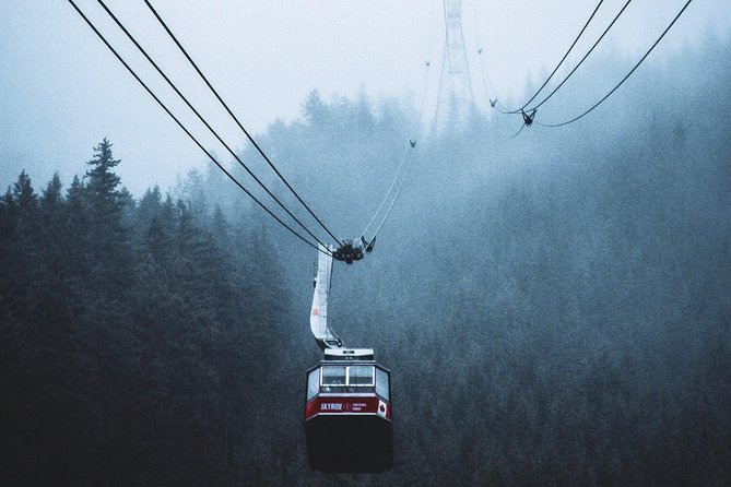 Private Charter Tour to Explore Vancouver and Surrounding Area - Private Transportation