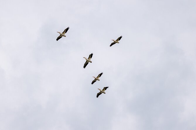 Private Charters on Saginaw Bay for Fishing or Birdwatching - Fishing Equipment and Availability