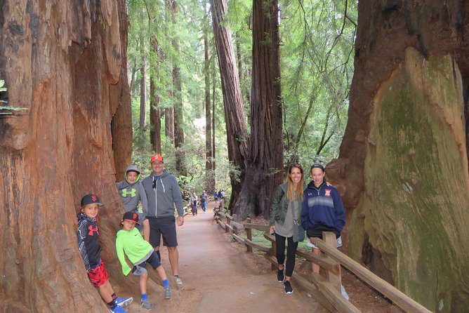 Private Cheese Trail, Wine Country & Giant Redwoods Day Tour From San Francisco - Accessibility and Participation