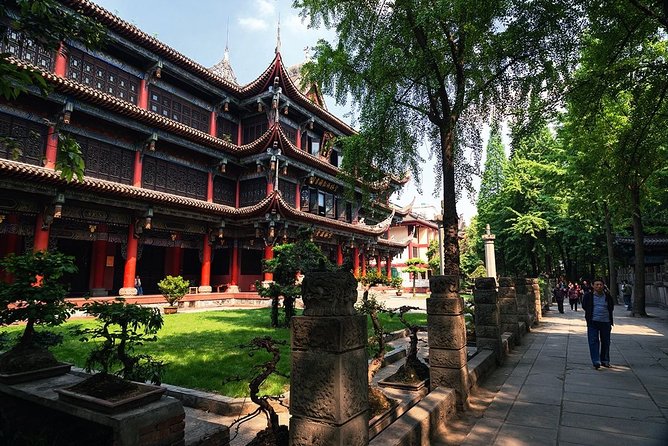 Private Chengdu Highlights Day Trip: Panda Base and City From Chongqing by Train - Panda Base Visit