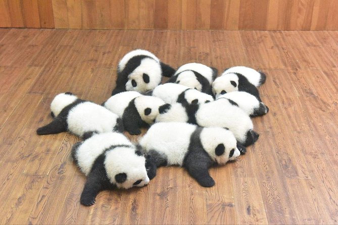 Private Chengdu Highlights Day Trip Review - Flight Bookings