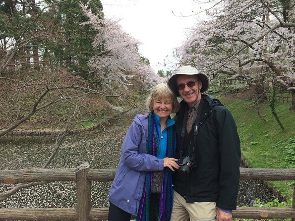 Private Cherry Blossom Tour in Hirosaki With a Local Guide - Highlights of the Experience