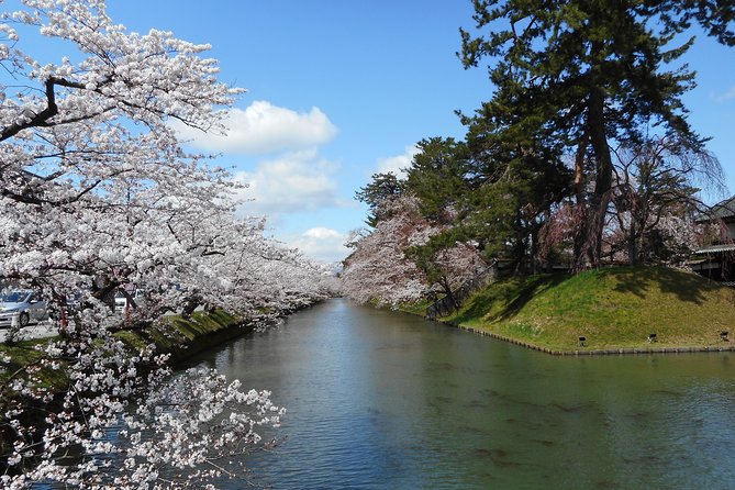 Private Cherry Blossom Tour in Hirosaki With a Local Guide - Accessibility and Inclusion
