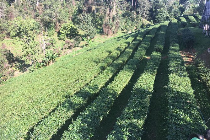 Private Chiang Mai-Chiang Rai Highlights 4 Days Trip - Three-Day Itinerary
