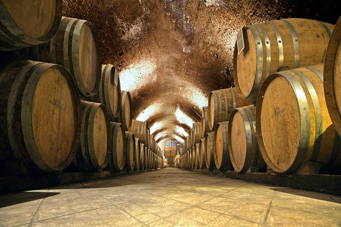 Private Chianti and Supertuscan Tour 2 Wineries With Light Lunch From Livorno - Tuscan Wine Tasting and Light Lunch