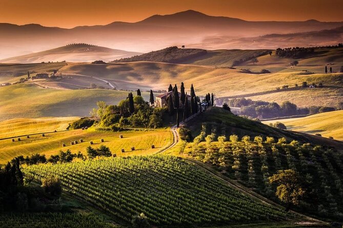 Private Chianti and Supertuscan Tour 2 Wineries With Light Lunch From Livorno - Confirmation and Booking Information