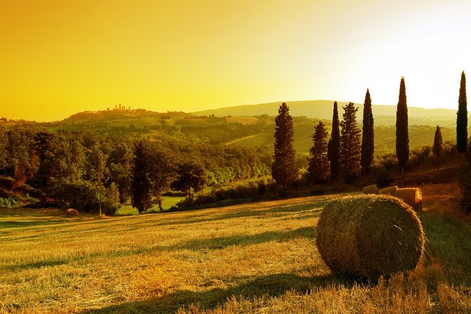 Private Chianti and Supertuscan Tour 2 Wineries With Light Lunch From Livorno - Positive Guest Reviews and Feedback